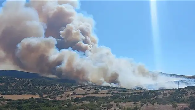 Çanakkale'de çöplük alandan ormana sıçrayan yangın nedeniyle bir mahalle tahliye edildi
