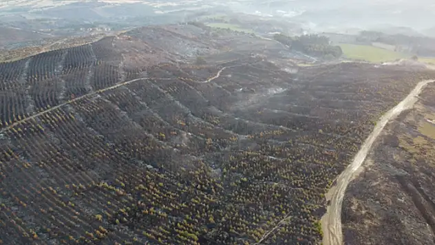 Çanakkale'de günler sonra söndürülen yangından geriye kahreden görüntüler kaldı