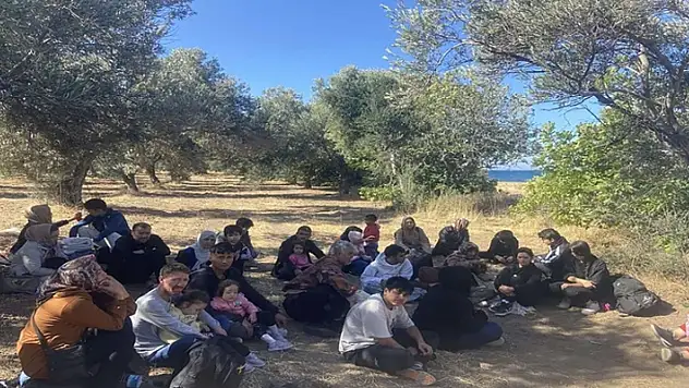 Çanakkale'de köyde göçmen operasyonu! 14 kaçak göçmen ile 1 göçmen kaçakçısı yakalandı
