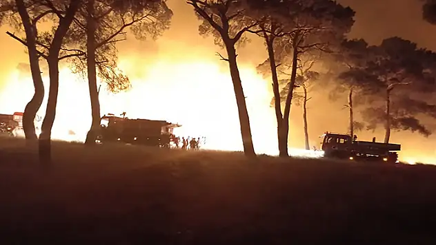 Çanakkale'de tarım arazisinde başlayıp ormana sıçrayan yangın 2 saatte söndürüldü
