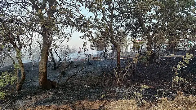 Çanakkale'de tarım arazisinde çıkan yangın kontrol altına alındı
