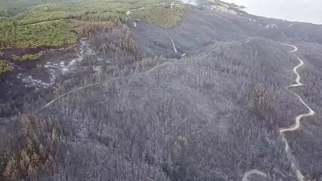 Çanakkale'deki orman yangını 2'nci gününde kontrol altına alındı