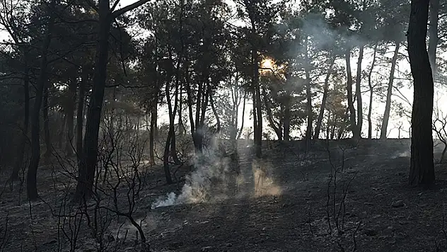 Çanakkale'deki orman yangını kontrol altına alındı
