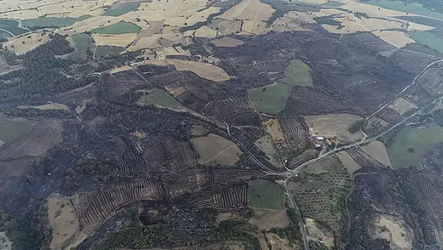 Çanakkale'deki orman yangınına 37 saattir müdahale sürüyor
