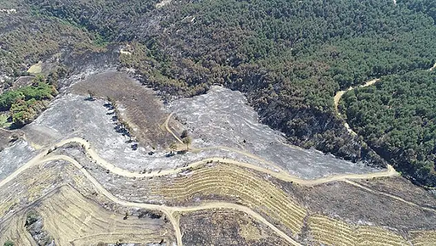 Çanakkale'deki orman yangınında 2 bin 500 hektar alanın zarar gördüğü belirlendi
