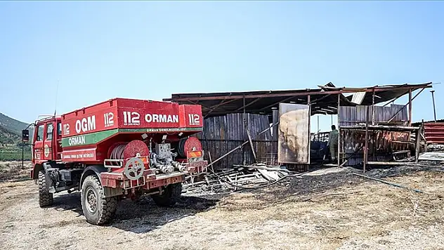 Çanakkale'deki orman yangınında bir besicinin 31 hayvanı telef oldu
