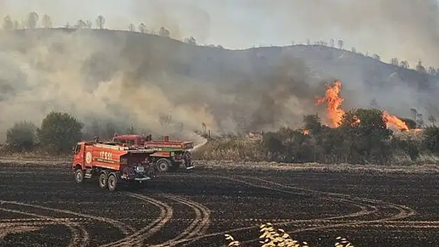 Çanakkale'deki yangın ikinci gününde! İlerlemesi durdu, müdahale sürüyor
