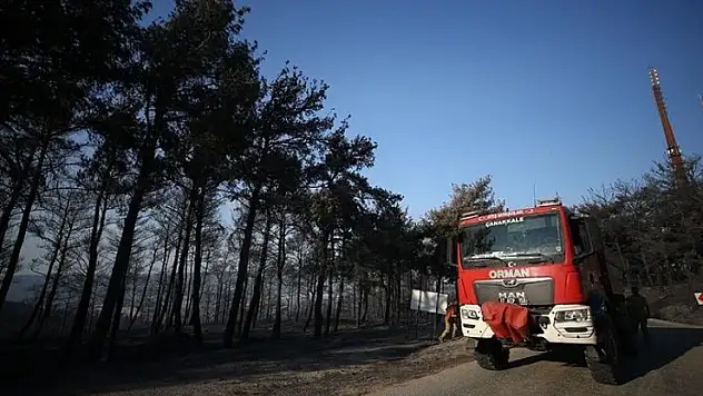 Çanakkale merkez ve Bayramiç'teki yangınlar büyük ölçüde kontrol altına alındı