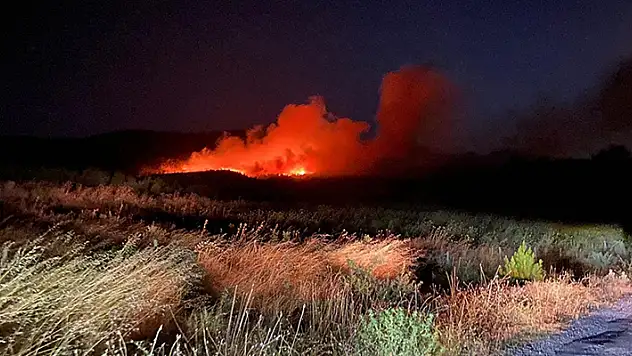 Çanakkale'nin Ayvacık ilçesinde çıkan orman yangınına müdahale ediliyor
