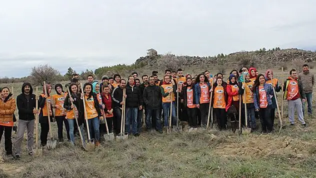 Çanakkale şehitleri anısına fidan dikildi
