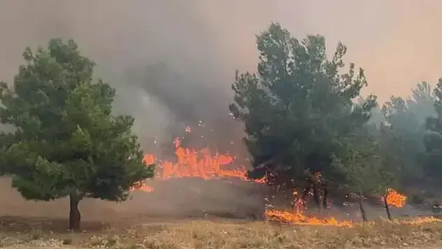 Çanakkale Valiliği uyardı! Orman yangınlarına dikkat
