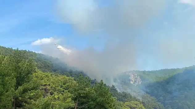 Çanakkale'de orman yangını
