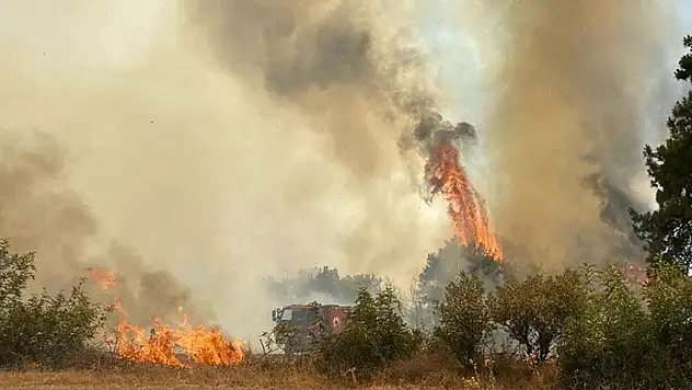 Çanakkale'de orman yangını çıktı