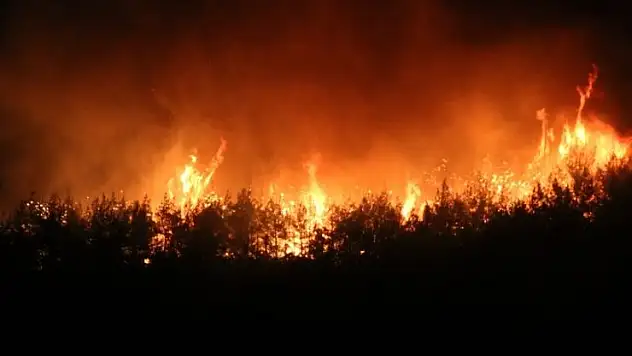 Çanakkale'de tedbir amacıyla tahliye edilen 5 köyden 251 kişi güvenli alanlara sevk edildi