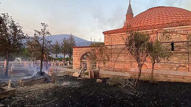 Çanakkale'deki orman yangınında tarihi mezarlar zarar gördü