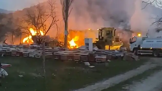 Çankırı'da ahır yandı 21 büyükbaş öldü
