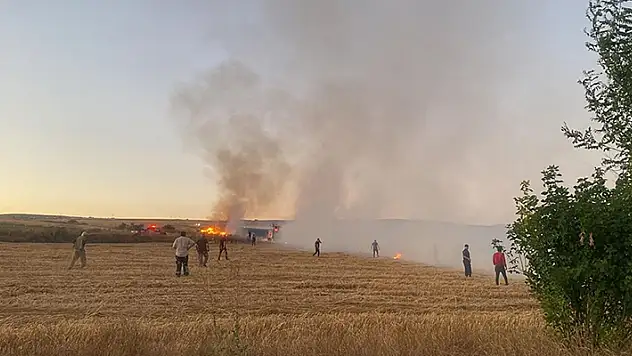 Çankırı'da çıkan yangında 300 dekar tarım arazisi zarar gördü

