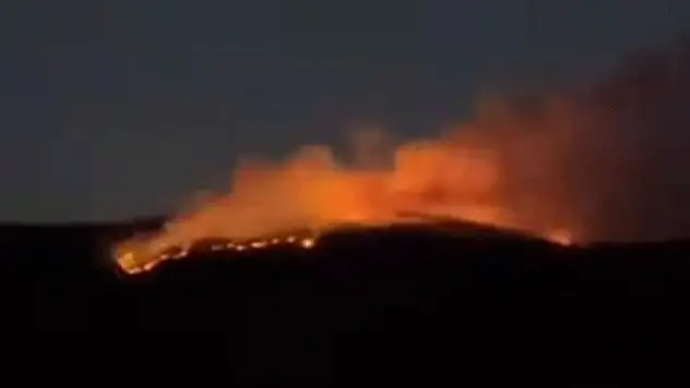 Çankırı'da orman yangını