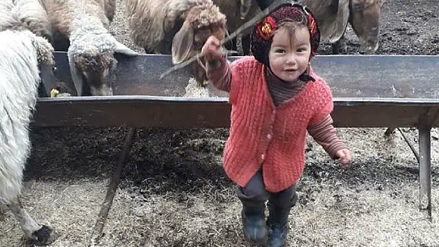 Cansız bedeni bulunan Müslüme'nin aile bireylerinin sorgusu sürüyor