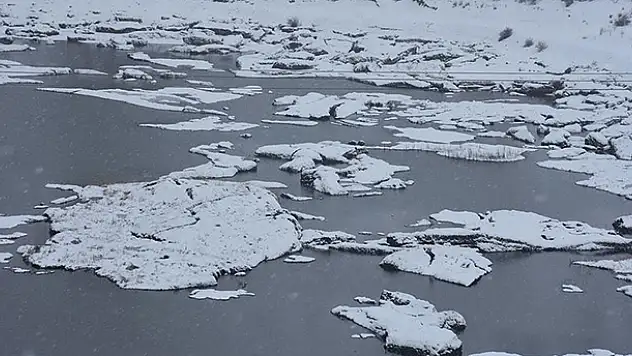 Çat Barajı'ndaki 'yüzen adalar' dondu