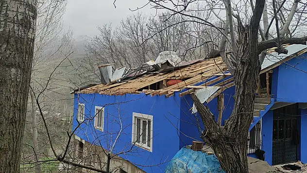 Çatak'taki fırtınanın bilançosu: 50'den fazla evin çatısı uçtu, 100'ün üzerinde ağaç devrildi