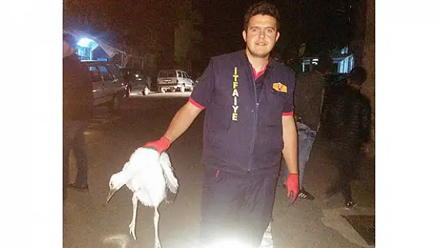 Çatıda ayağı sıkışan leylek kurtarıldı