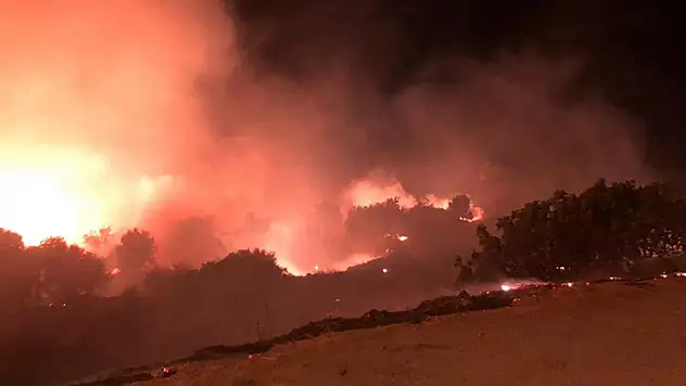 Çeşme'de çıkan yangın kontrol altına alındı
