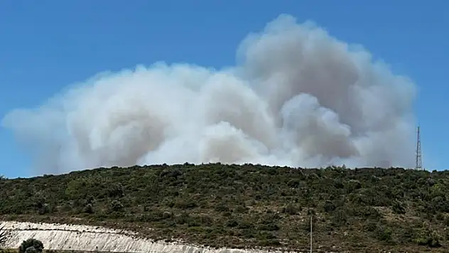 Çeşme'de orman yangını 3 kişi hayatını kaybetti