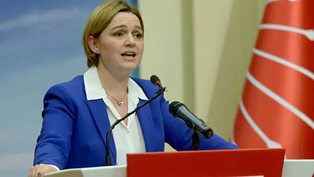 CHP'de deprem! Selin Sayek Böke istifa etti