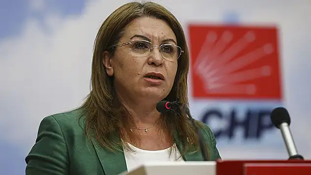 CHP Genel Başkan Yardımcısı Karaca, Konya'da