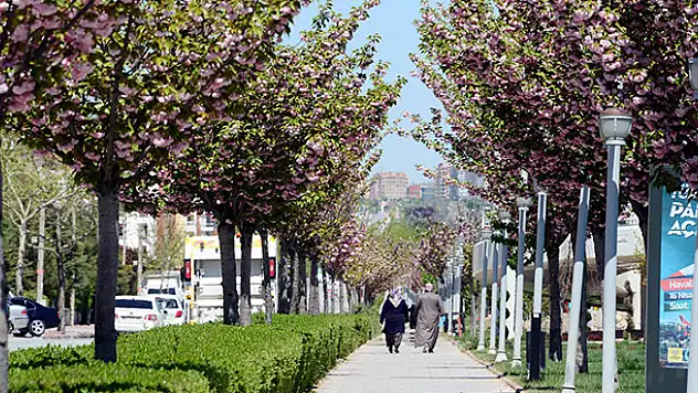 Çiçek gibi Konya fotoğraf yarışması