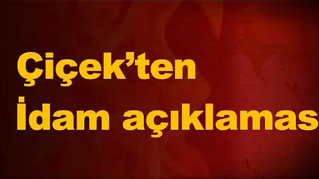 Çiçek'ten idam açıklaması