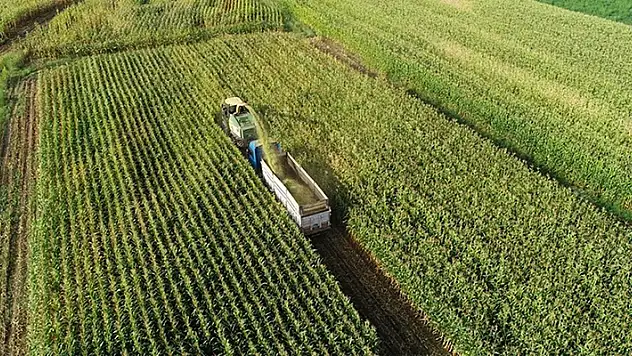 Çiftçilere geçen yıl 63,4 milyar lira tarımsal destekleme ödemesi yapıldı
