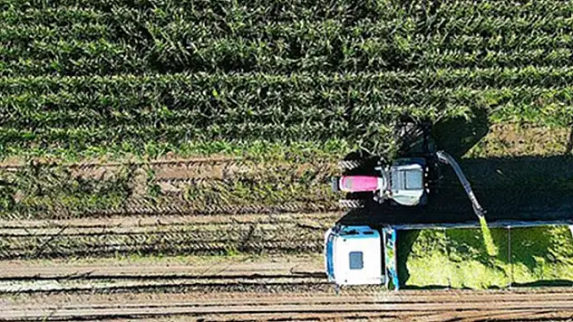 Çiftçilere yaklaşık 150 milyon liralık destekleme ödemesi yapılacak