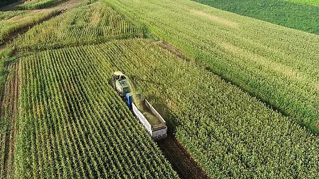Çiftçilere yaklaşık 972 milyon liralık tarımsal destek ödemesine bugün başlanıyor
