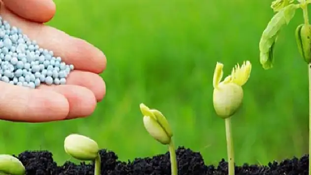 Çiftçiye kötü haber! Dolar fırladı gübre ve zirai ilaç satışları durduruldu

