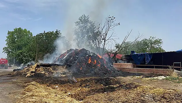 Çiftlikteki yangında 1000 ot balyası yandı
