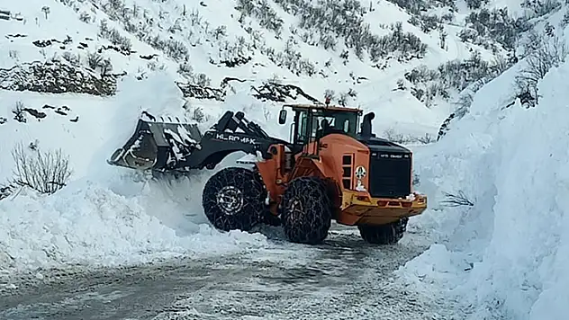 Çığ nedeniyle kapanan Yüksekova-Şemdinli kara yolu açıldı
