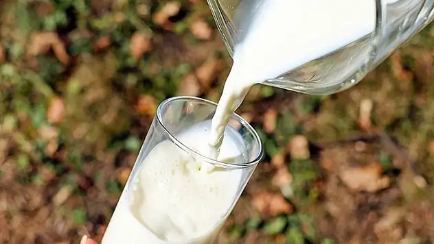 Çiğ süt primi yılın son 3 ayı için litre başına 1 lira olarak uygulanacak