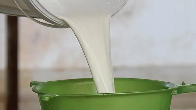 Çiğ sütte litre başına destek 20 kuruştan 1 liraya yükseltildi
