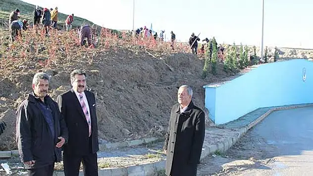 Cihanbeyli'de ağaçlandırma çalışmaları yapılıyor