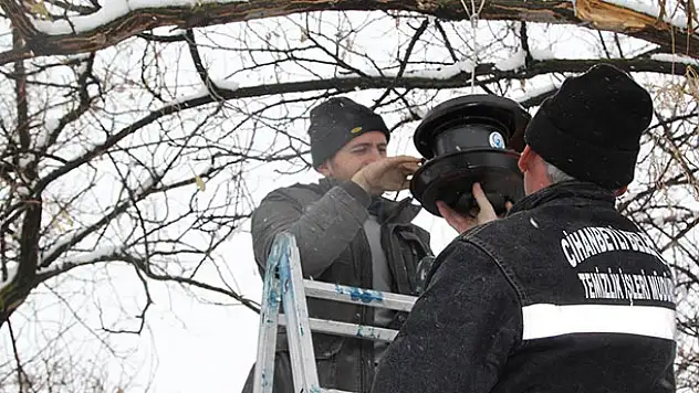 Cihanbeyli'nin dört bir tarafına kuş evleri yerleştirildi