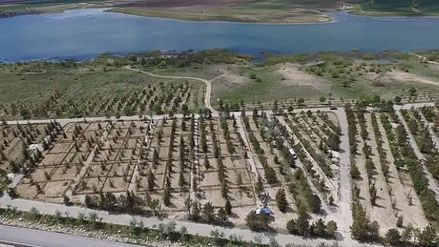 Cihanbeyli'ye hobi bahçeleri oluşturuldu