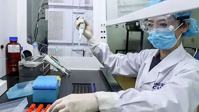 Çin'de böcek hücrelerinden korona aşısı denemesi yapılacak