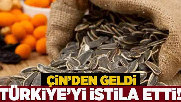 Çin'den geldi, Türkiye'yi resmen istila etti!