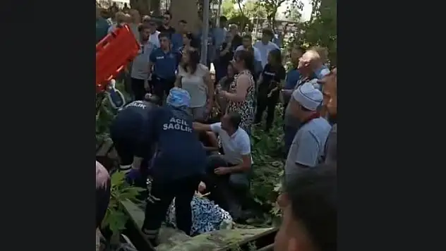 Çınar ağacının kırılan dalı üzerine düşen kişi hayatını kaybetti