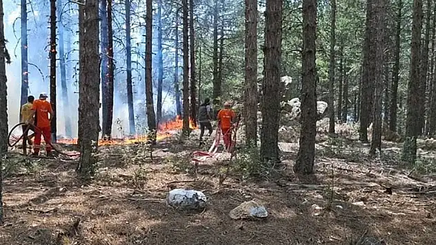Çine'de orman yangını