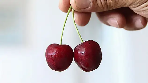 Çinliler Türk kirazını sevdi