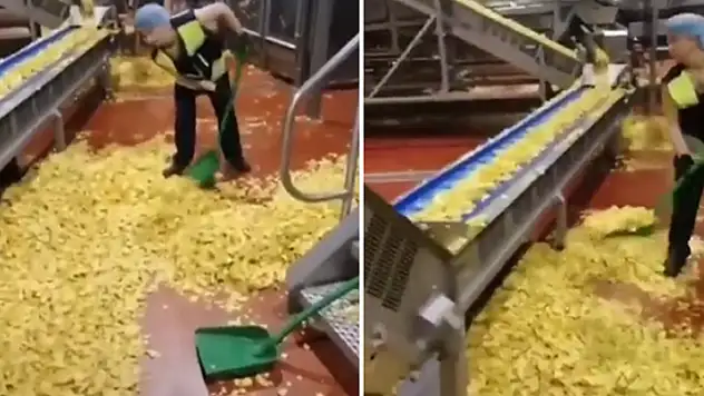 Cips fabrikasındaki görüntüler sosyal medyayı ayağa kaldırdı!