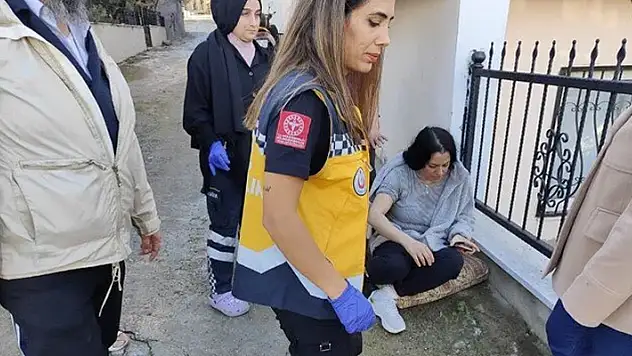 Çitlerden atlayan pitbull kadına saldırdı
